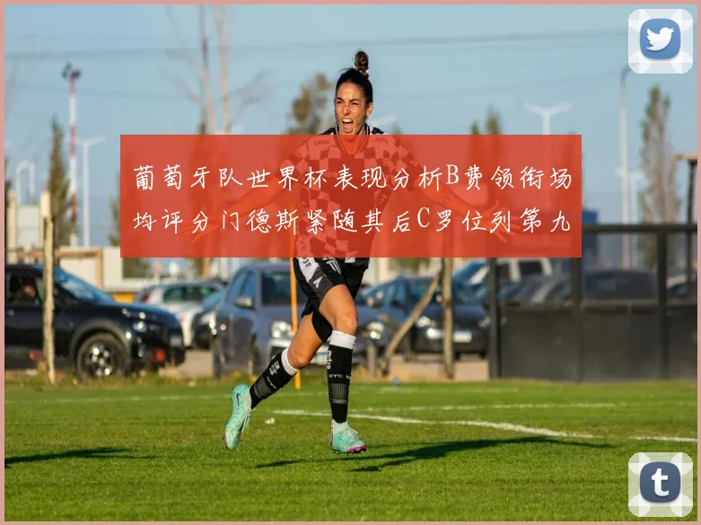 葡萄牙队世界杯表现分析B费领衔场均评分门德斯紧随其后C罗位列第九